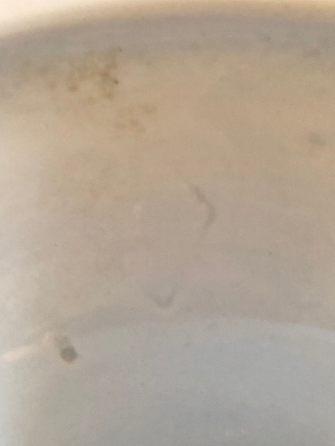 Old fruit bowl Brown Westhead Moore & co monogram XIX