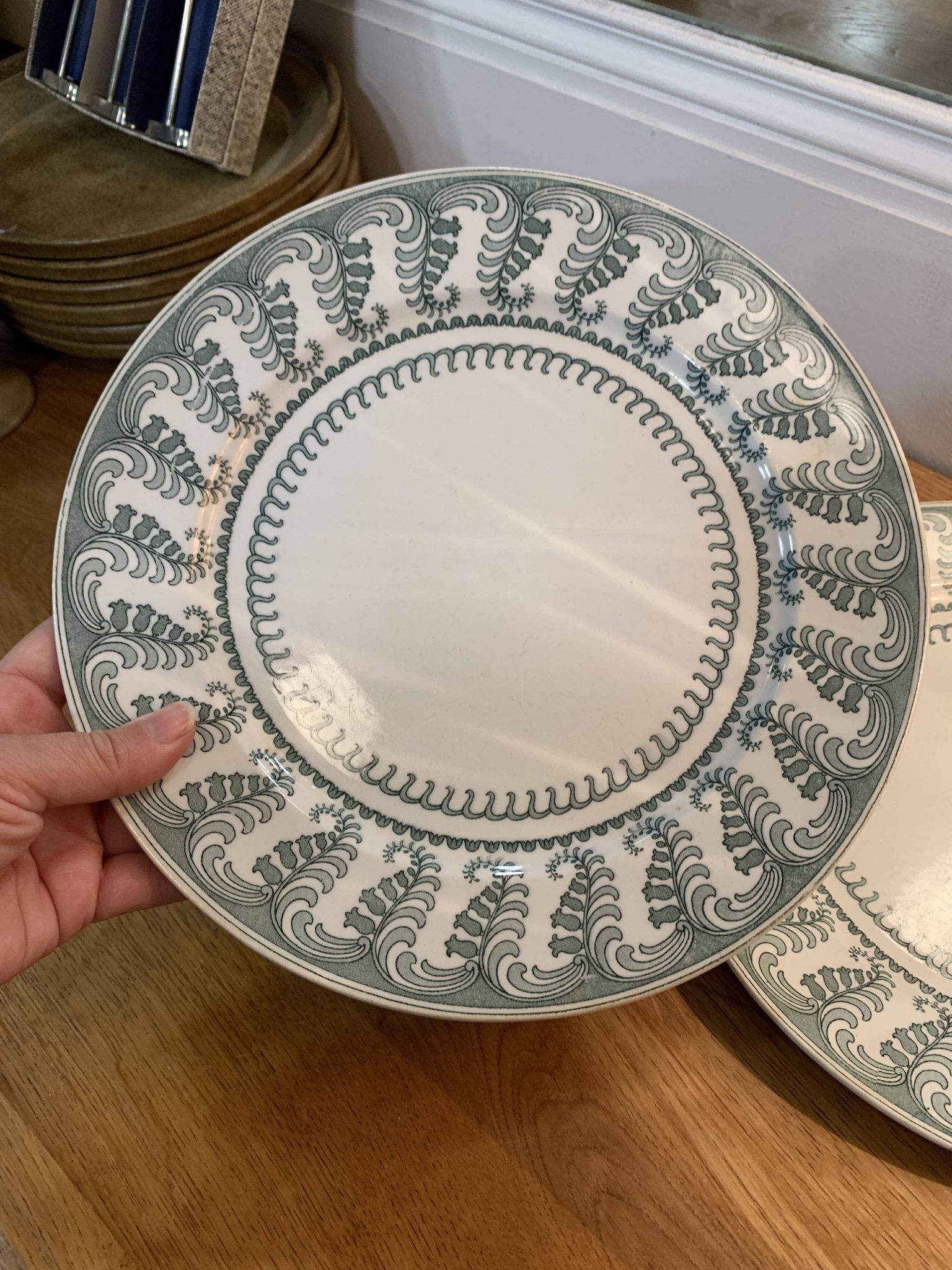 Paire d'assiettes terre de fer