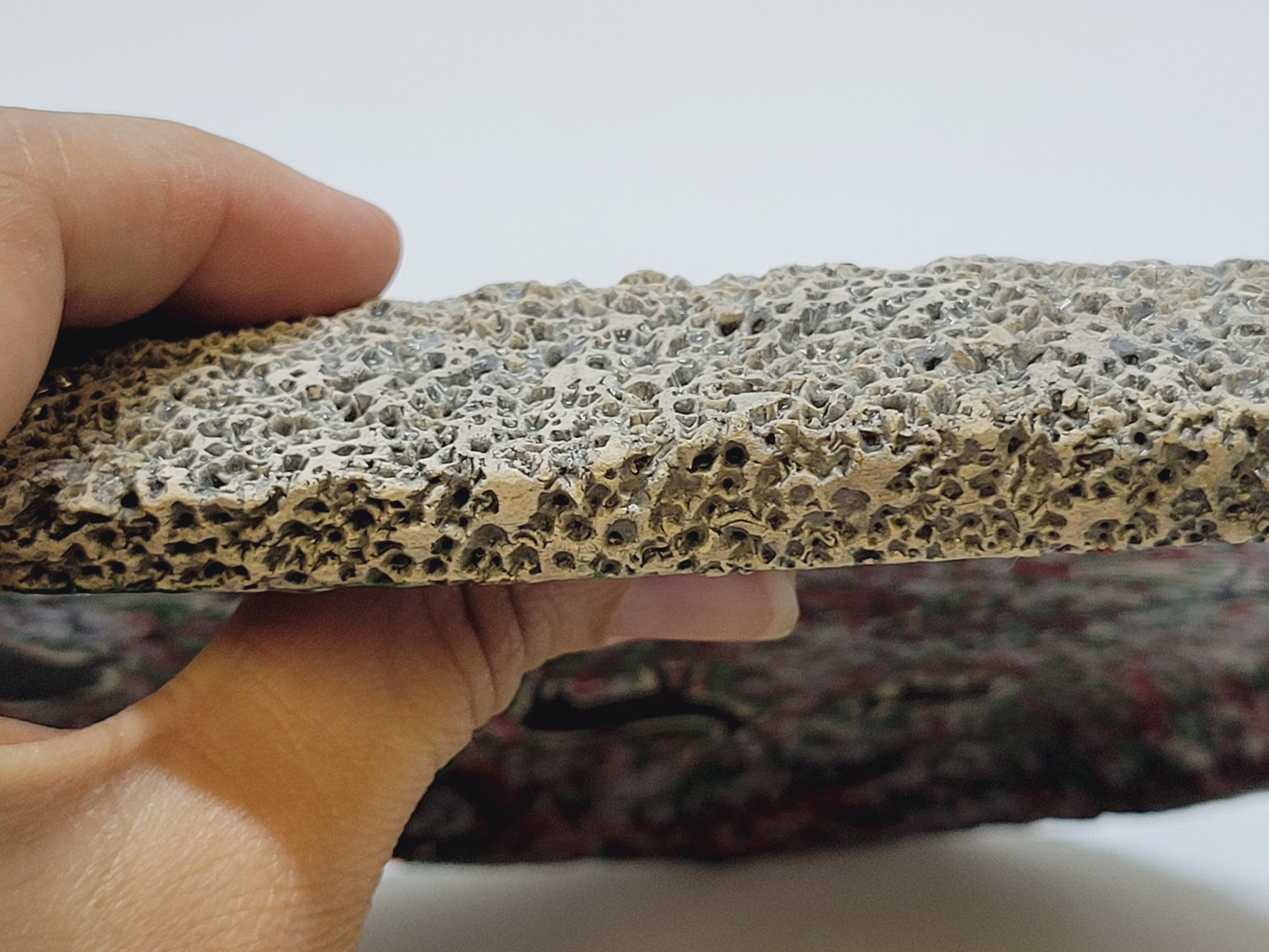 Decorative plate in glazed ceramic plaster? Prehistoric hunting décor