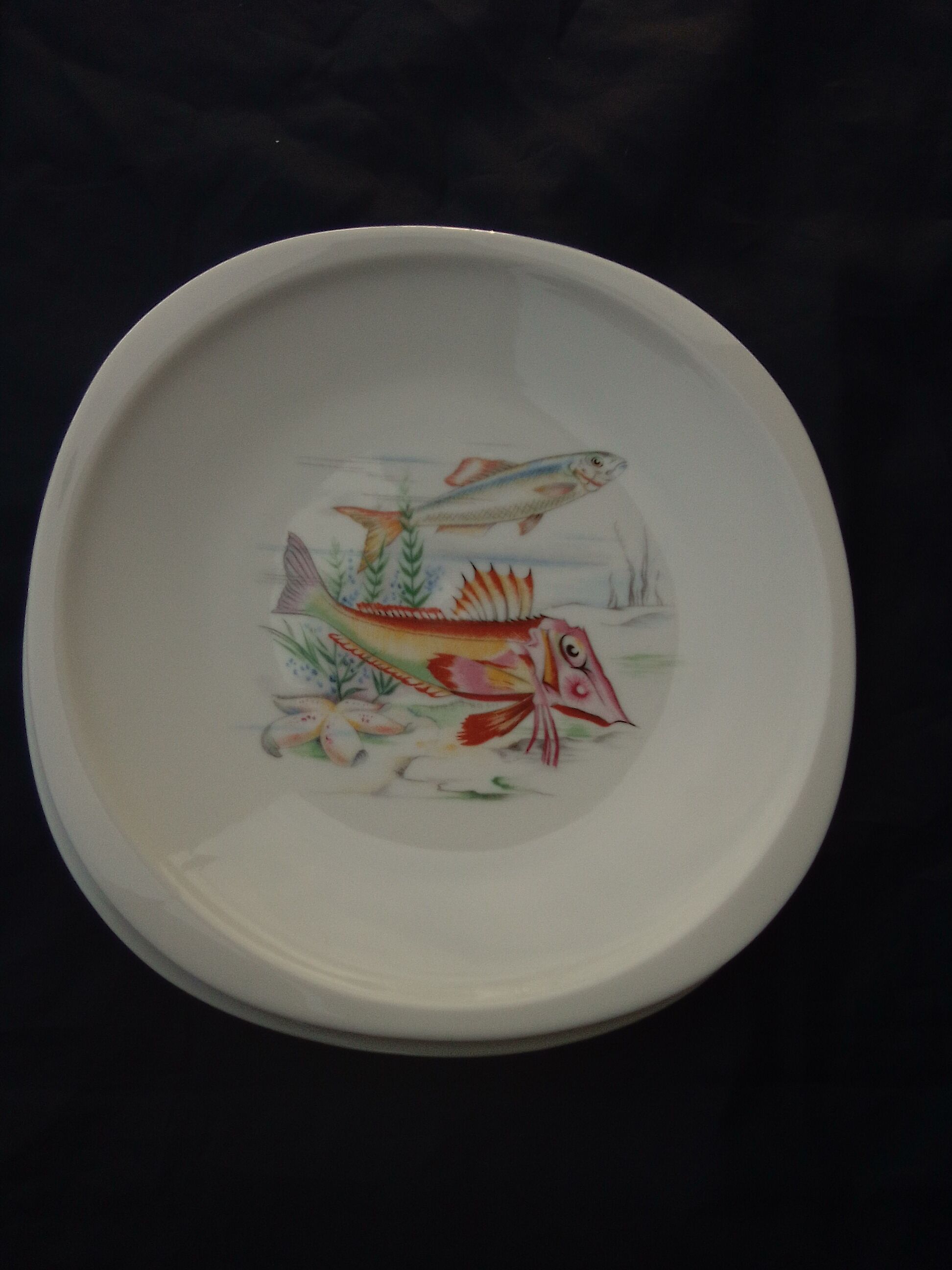8 fish plates in Sologne porcelain 23 X 23 cm