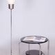 Mid-Century Modern Floor Lamp in Beech and Chrome, 1970s