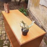 Comptoir de magasin vintage année 60 en chêne