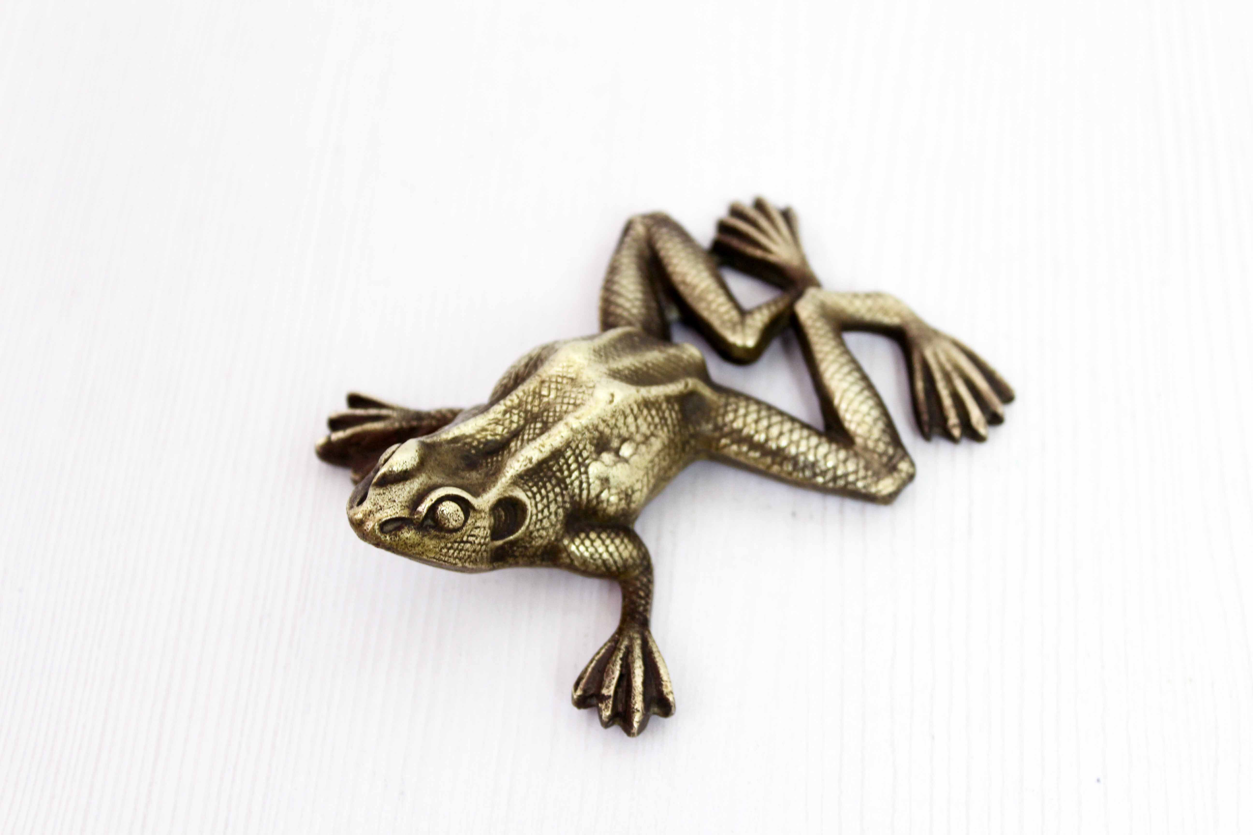 Bronze frog 50s