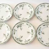 Set of 6 green Terre de fer plates