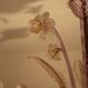 Murano chandelier from the 1950s