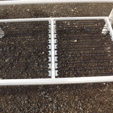 Knoll sofa of the 70s