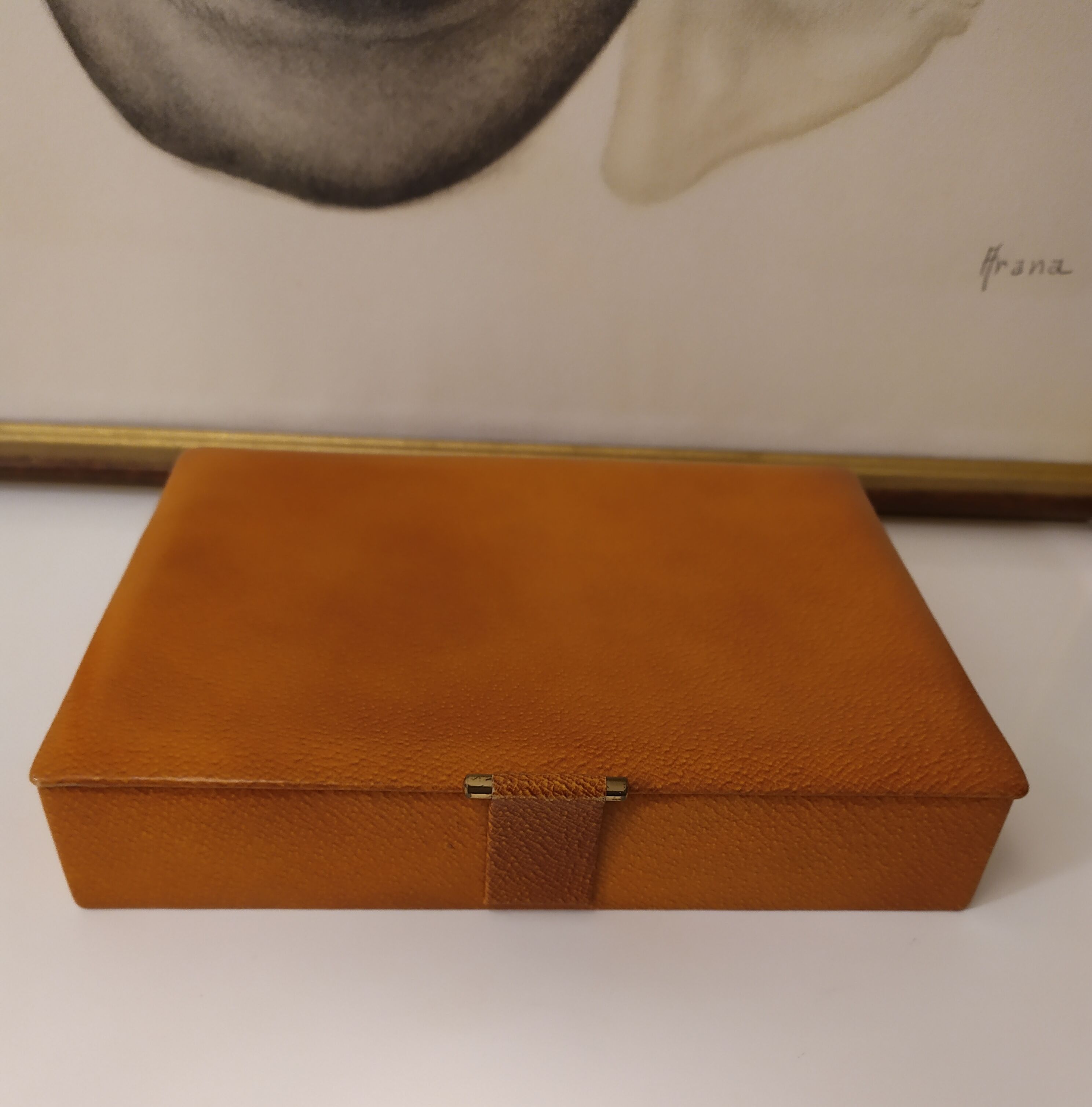 Antique leather box the tanner