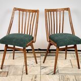 Set of Four Oak Chairs by Antonín Šuman, 1960s, Czechoslovakia