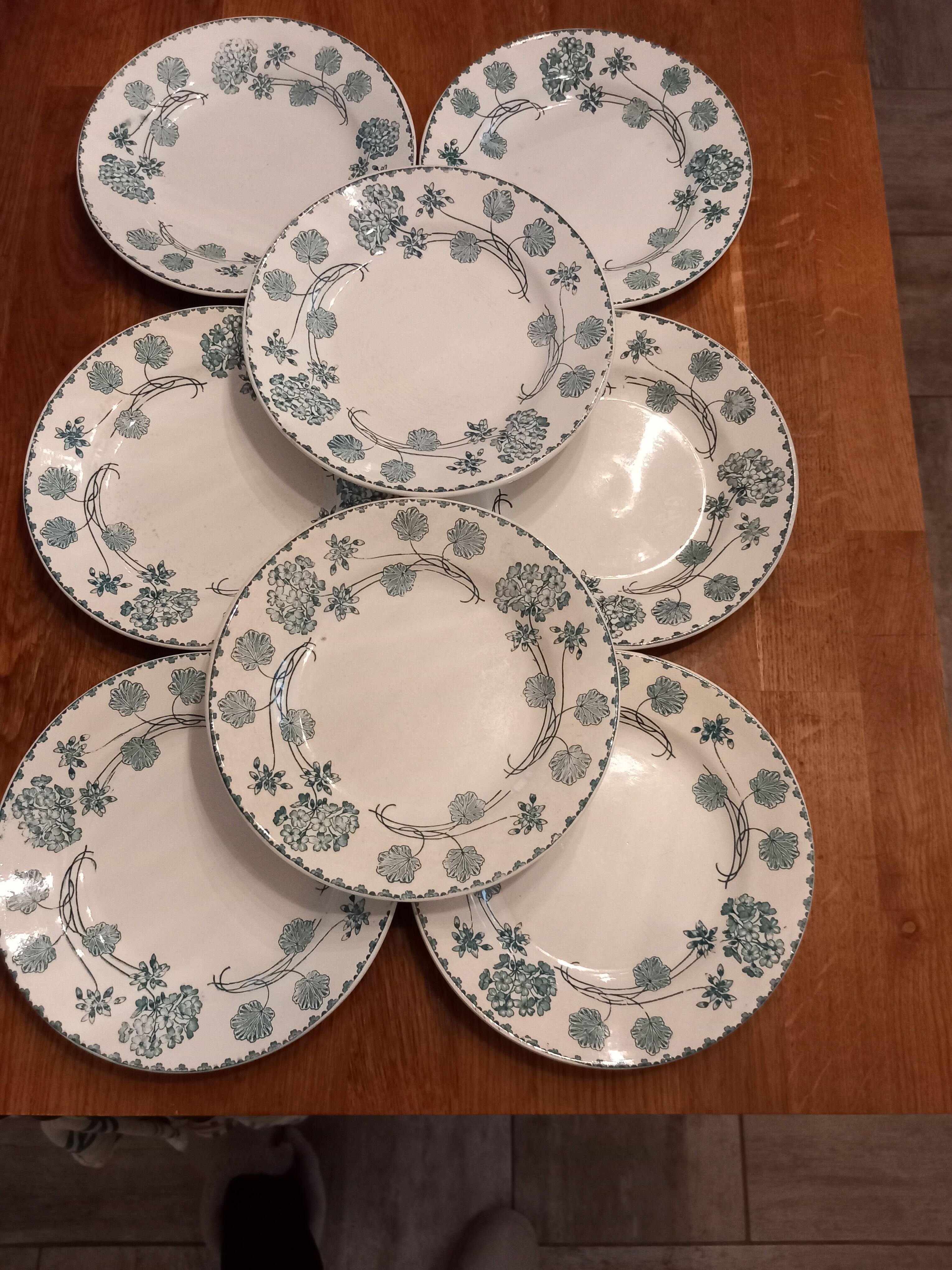 8 plates "flat" iron earth. Geranium.sarreguemine