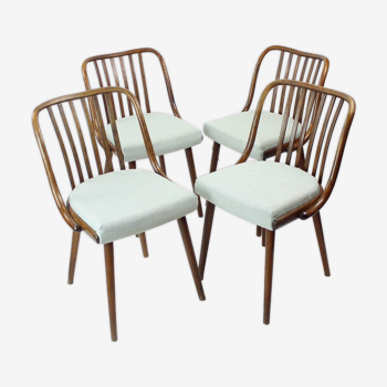 Ensemble de 4 chaises de salle à manger en chêne foncé courbé par Jitona, Tchécoslovaquie 1960