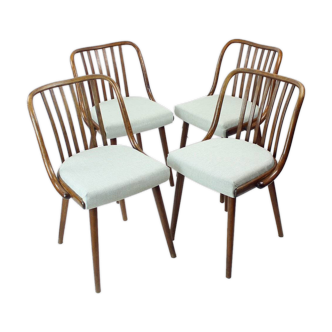 Ensemble de 4 chaises de salle à manger en chêne foncé courbé par Jitona, Tchécoslovaquie 1960