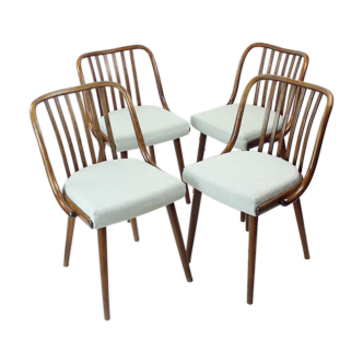 Set Of 4 Dining Chairs In Bent Dark Oak By Jitona, Czechoslovakia 1960s