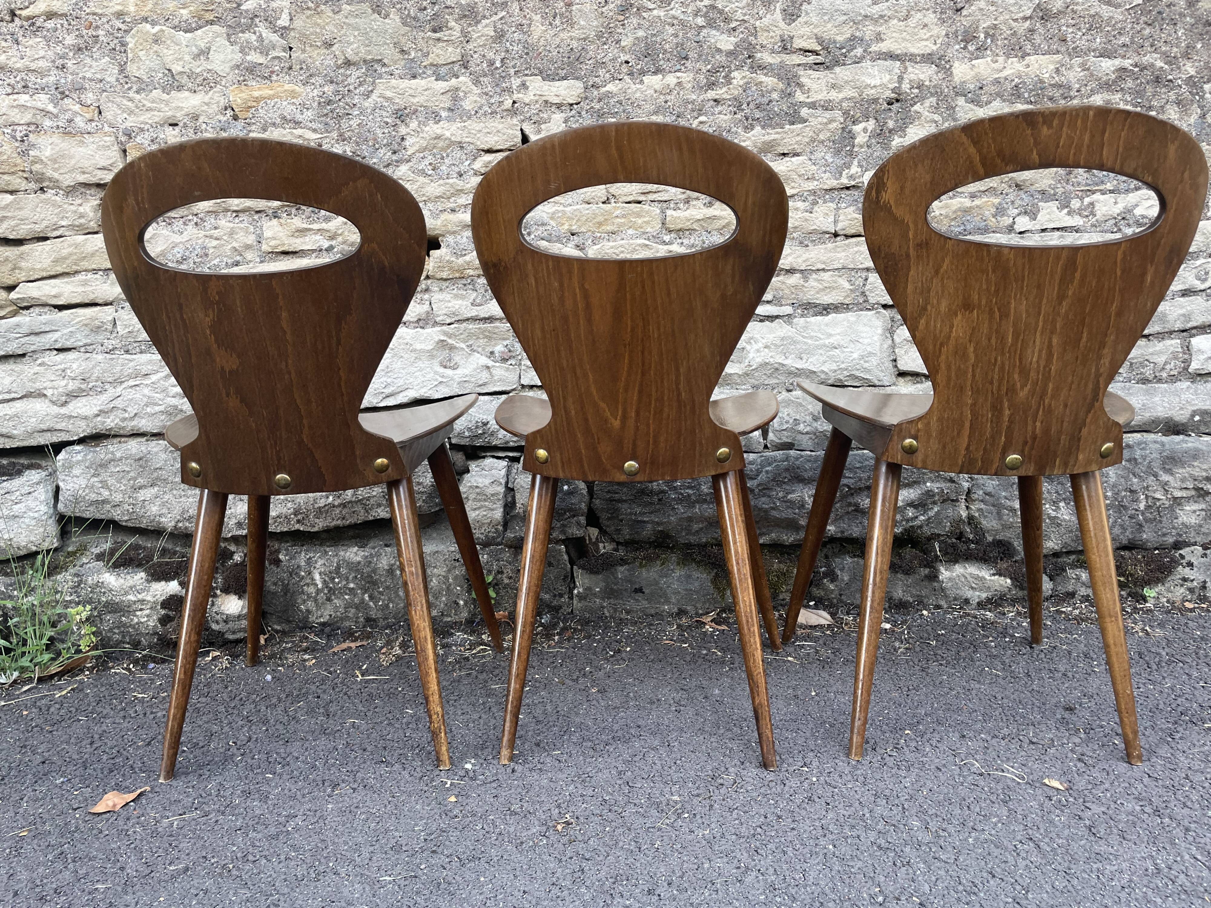 Baumann chairs "ant"