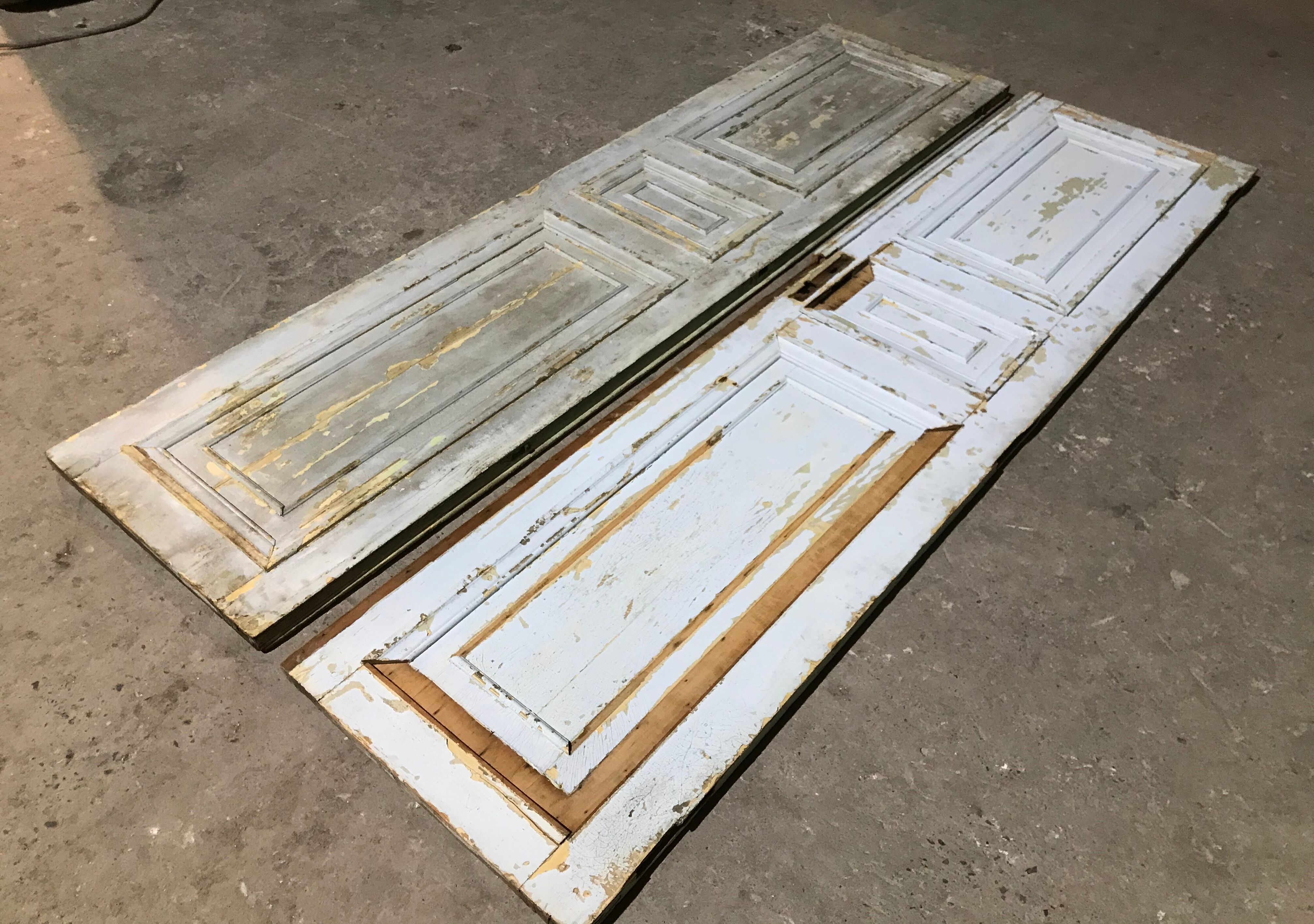 Nineteenth century door pair