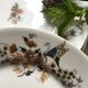 Set of 7 dessert plates in porcelain, butterfly pattern and wheat sheaves.