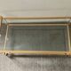 Vintage lucite and brass coffee table from the 70s