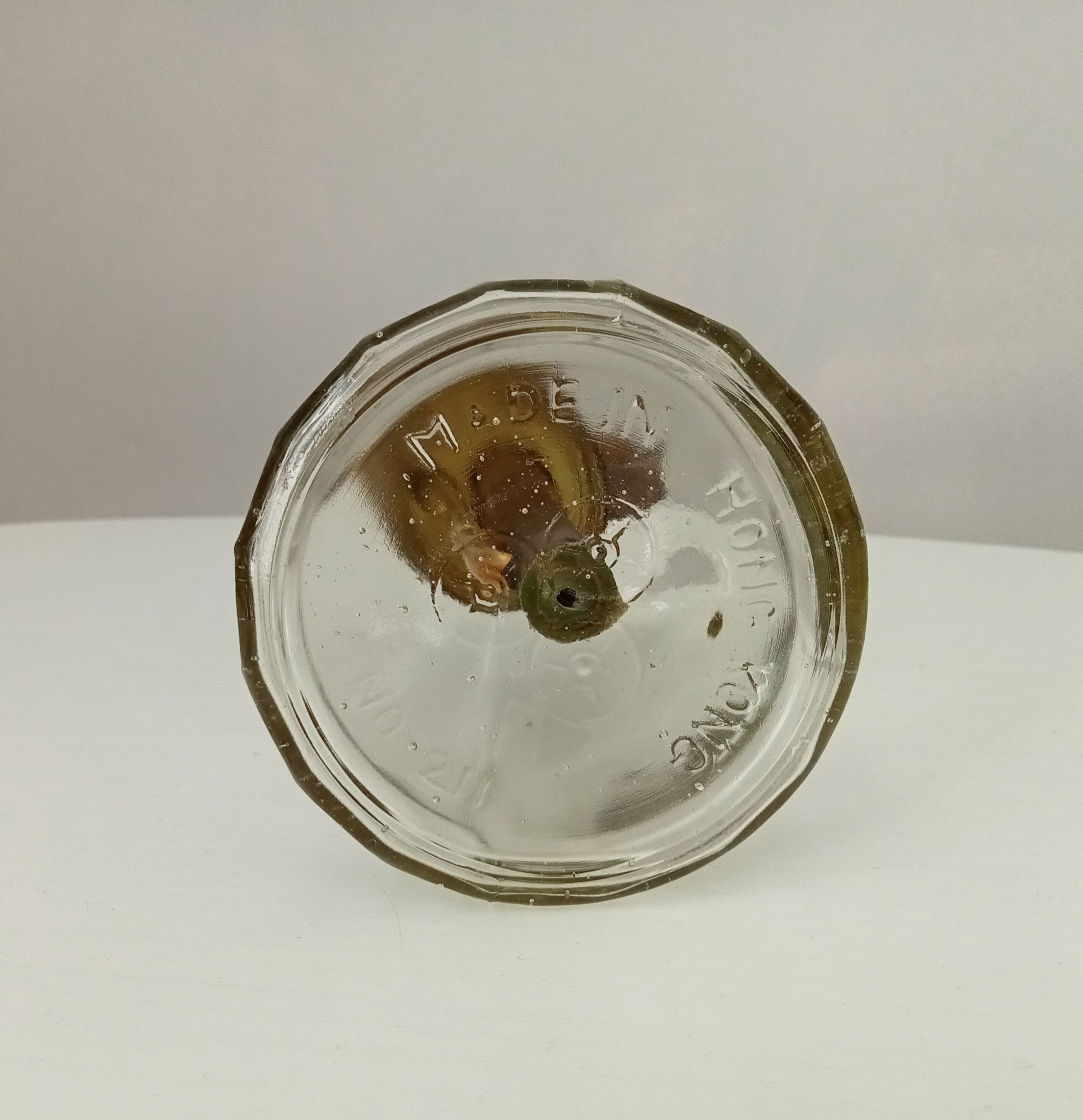 Vintage 70s plant vaporizer