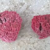 Vintage red coral duo