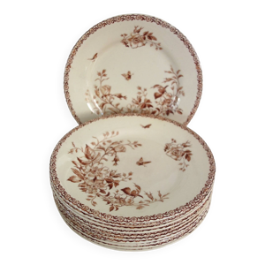 11 assiettes plates en - 1900