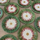Lot de 12 assiettes barbotine marguerite