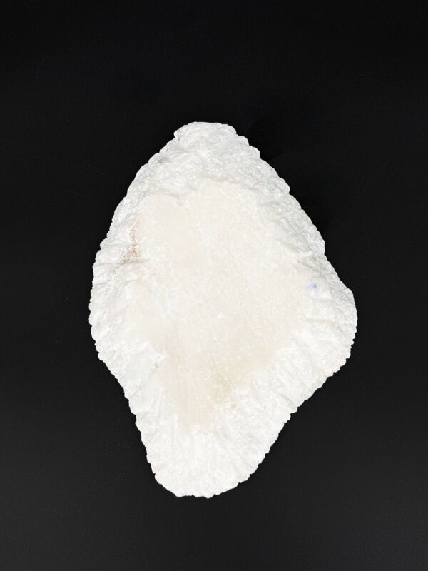 Vide-poche organique en pierre naturelle blanche