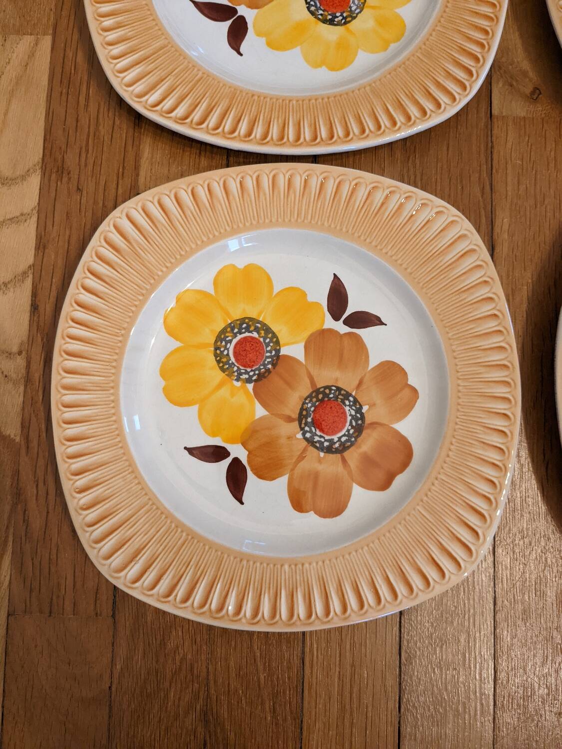 6 Mondovi plates