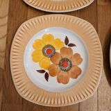 6 Mondovi plates