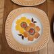 6 Mondovi plates
