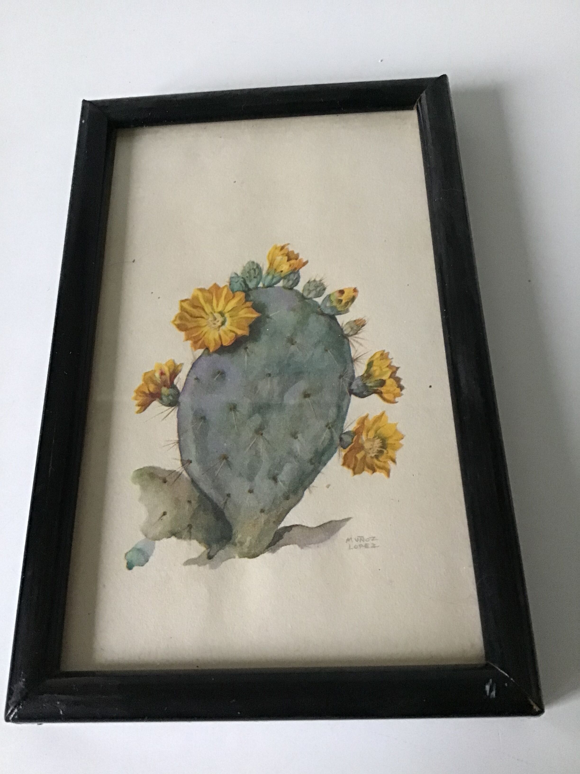Série de petits cadres en bois avec des gravures anciennes signées de fleurs champetres