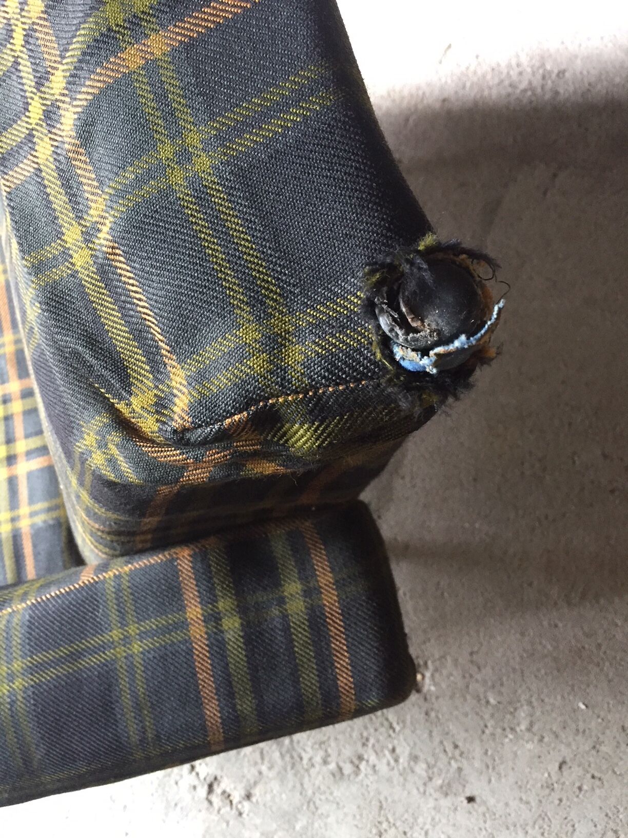 Pair of armchairs G10, Pierre Guariche for Airborne