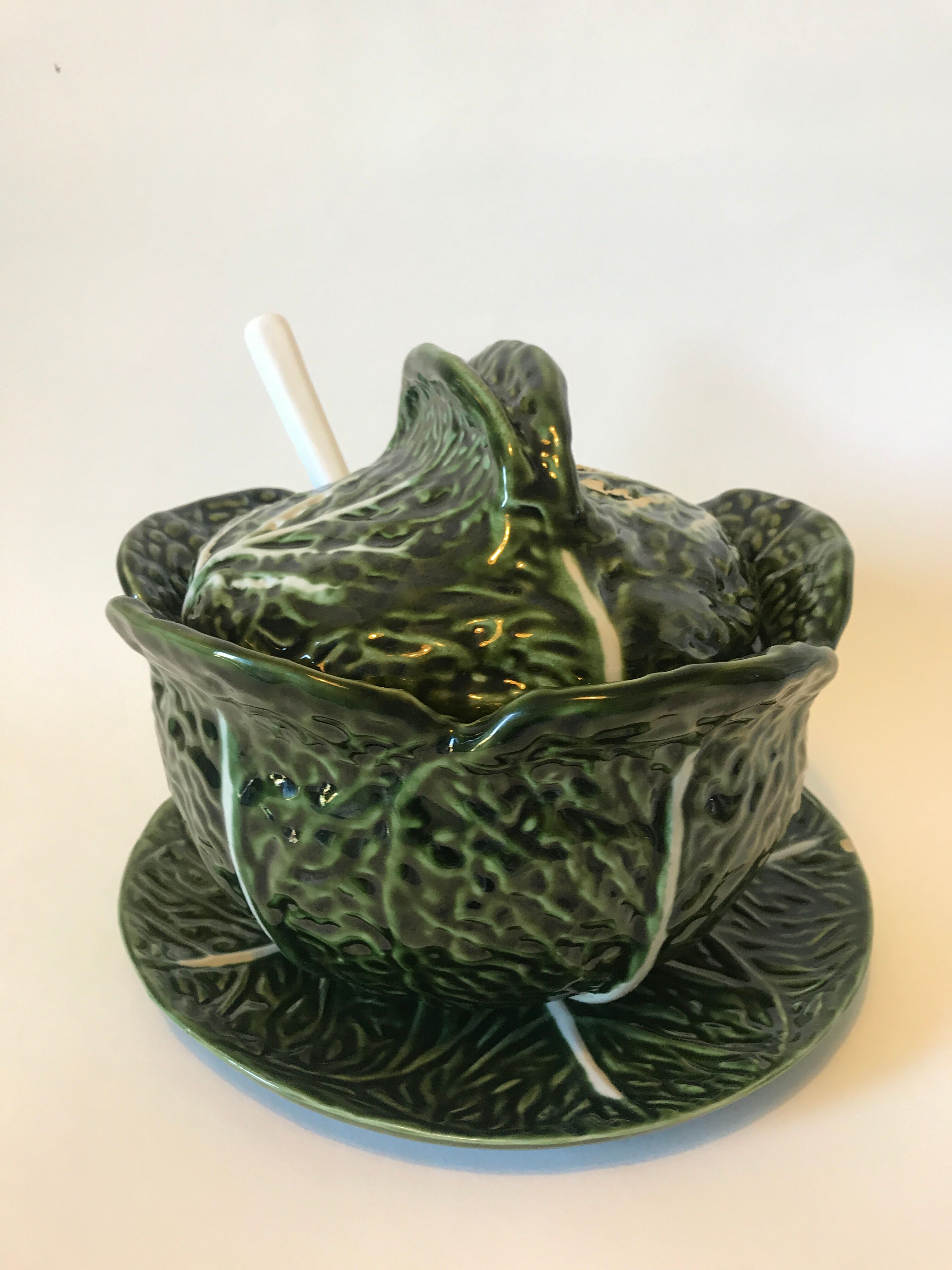 Soup dabbling cabbage shape
