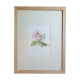 Flower in watercolor