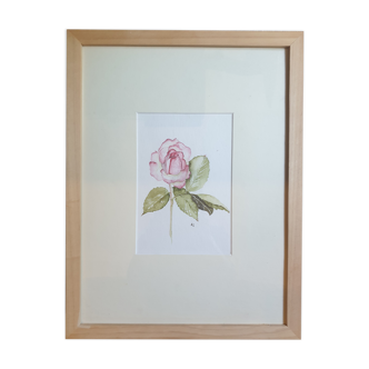Flower in watercolor