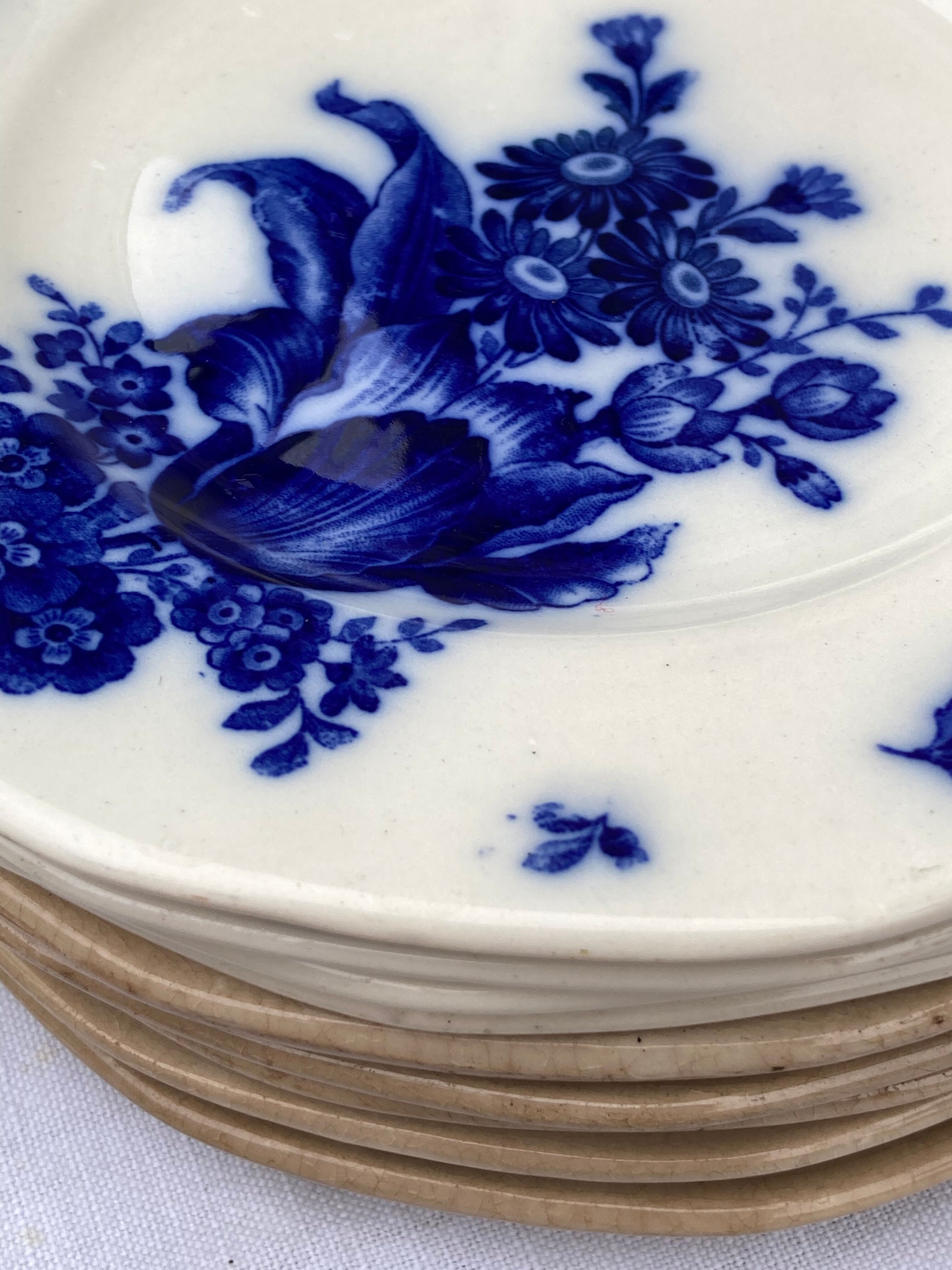 Blue dessert plates with Villeroy flower patterns and boch model Haarlem XIXth