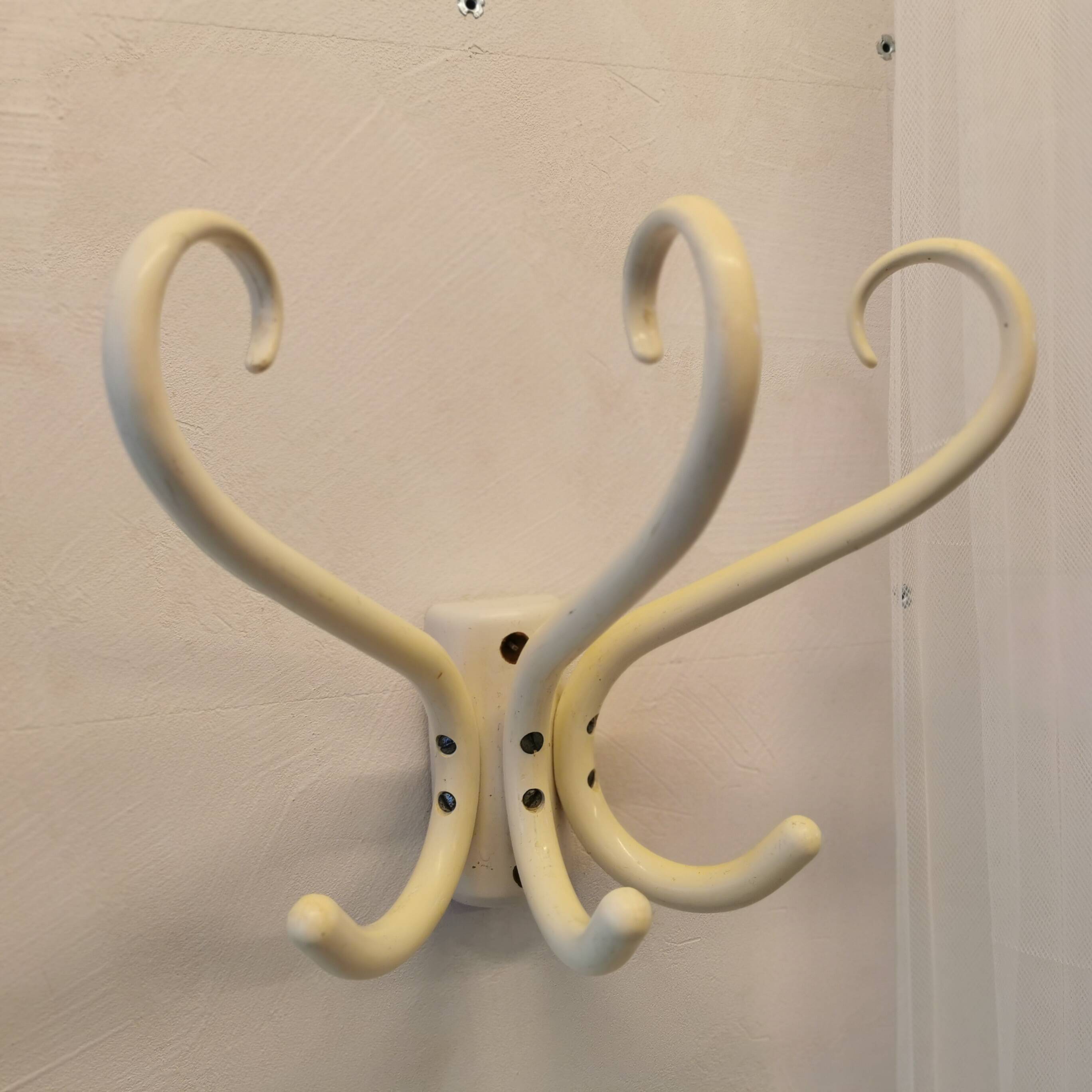 Curved wooden coat hook