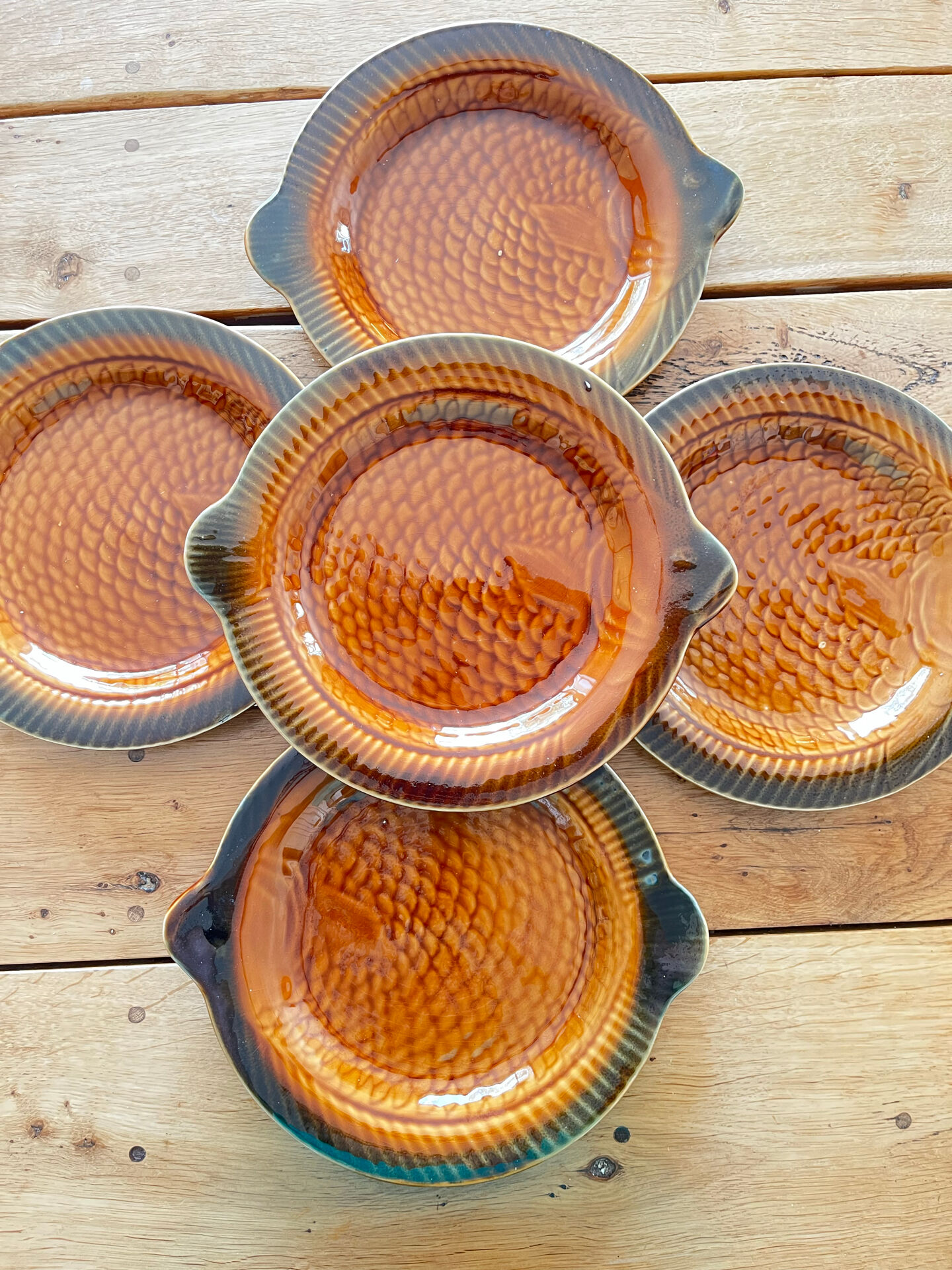 5 fish plates