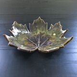 Empty pocket plane leaf