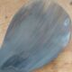 Rice spoon covered with serving in Asian handicraft horn