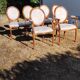 4 chairs and 2 armchairs