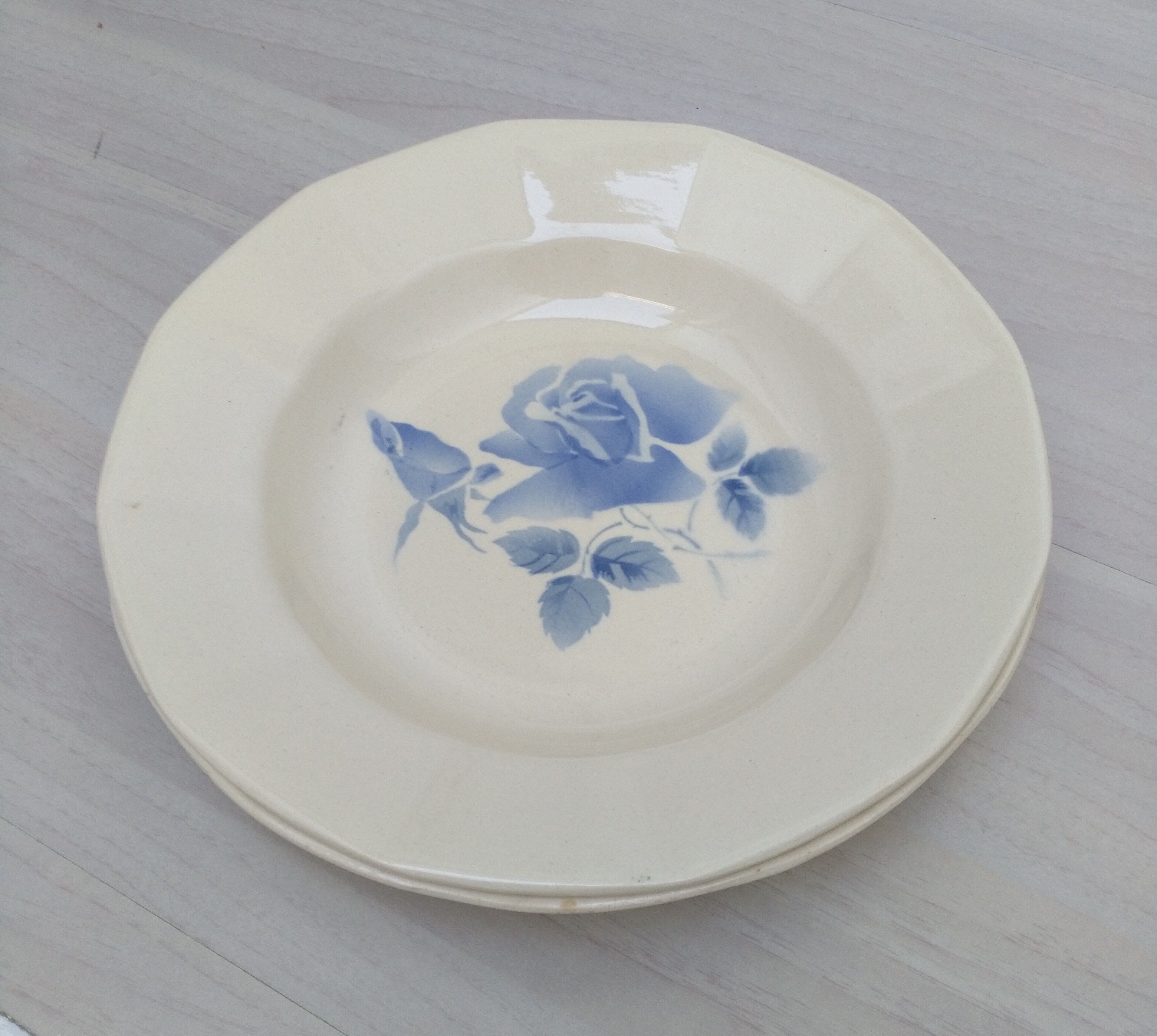 Lot of 2 hollow plates Digoin Sarreguemines model "blue rose"