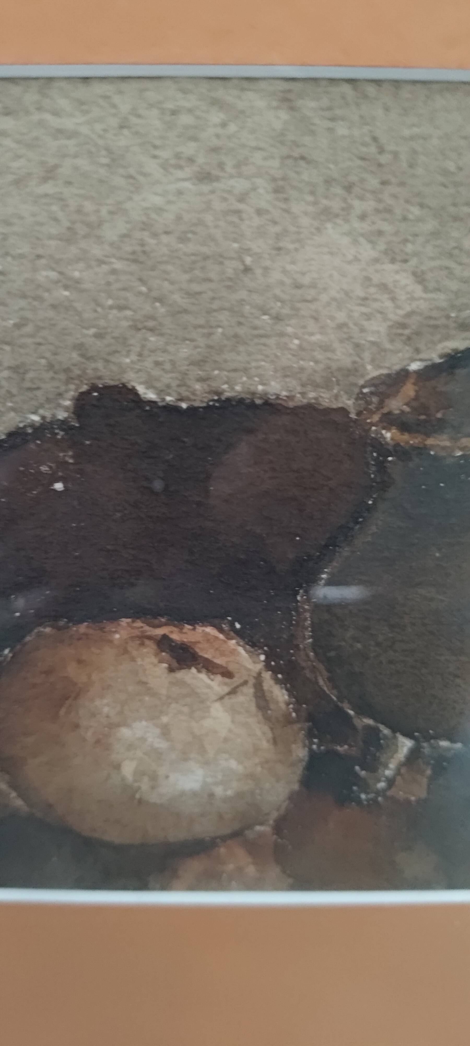 Still life painting