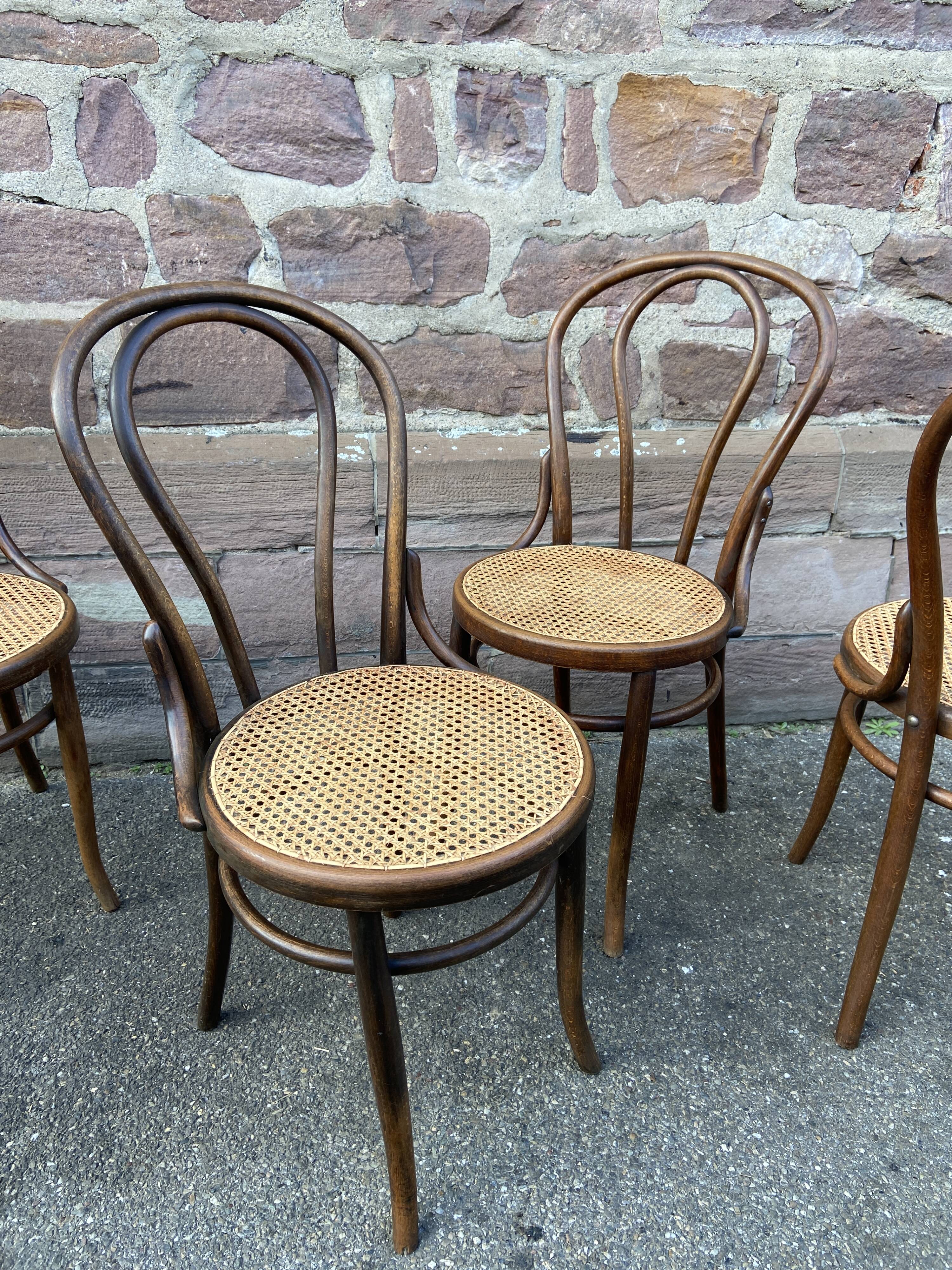 Suite of 4 chairs bistrot Fischel Nr 18 bentwood