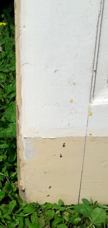 Door 212,1x82,6 vintage paneled