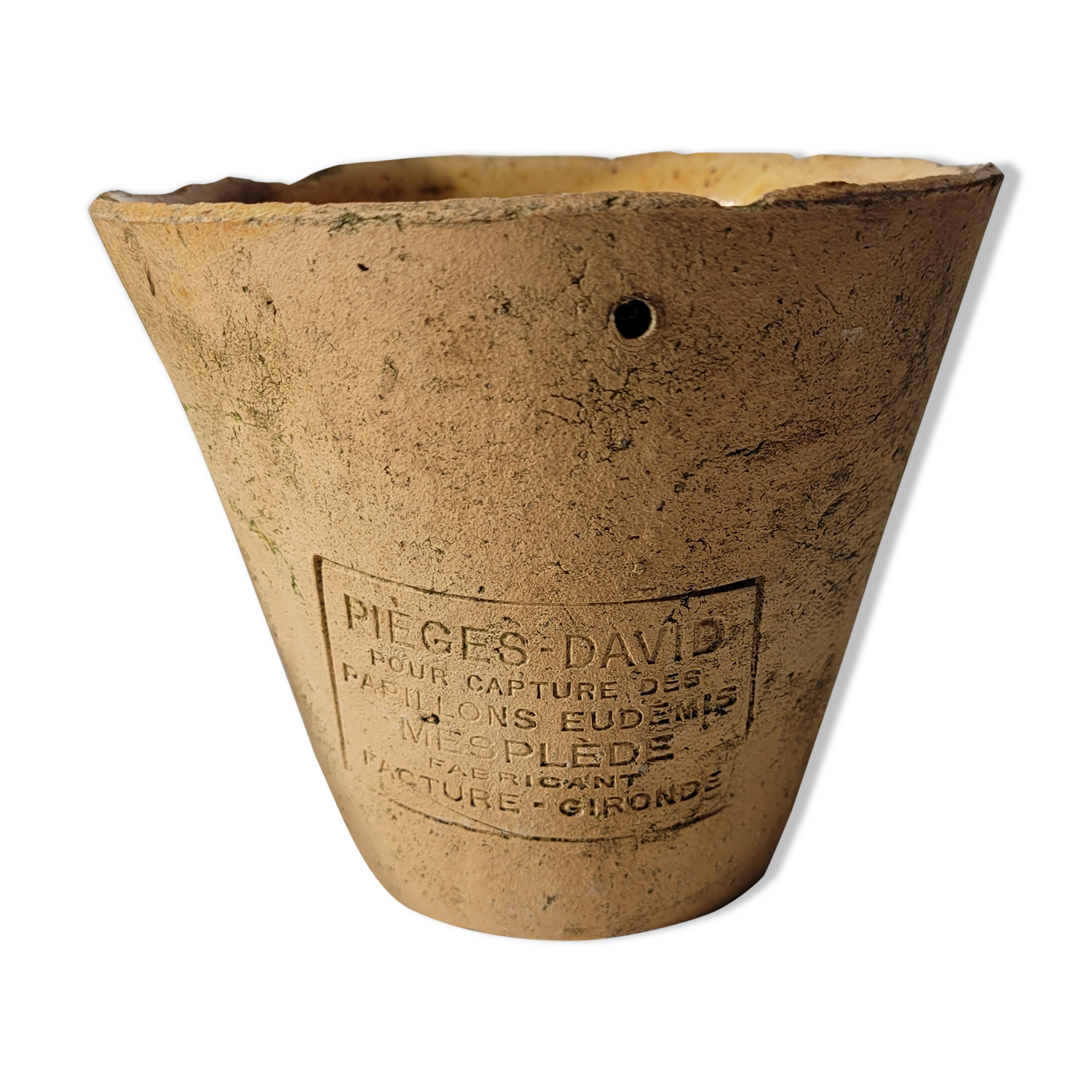 Verded terracotta pot