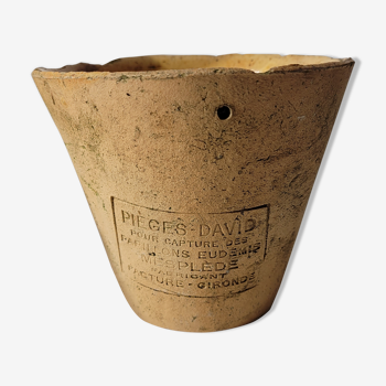 Verded terracotta pot