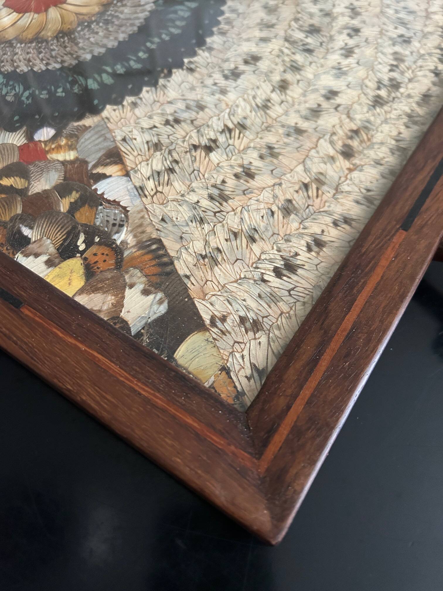 Plateau en bois et décor ailes de papillons