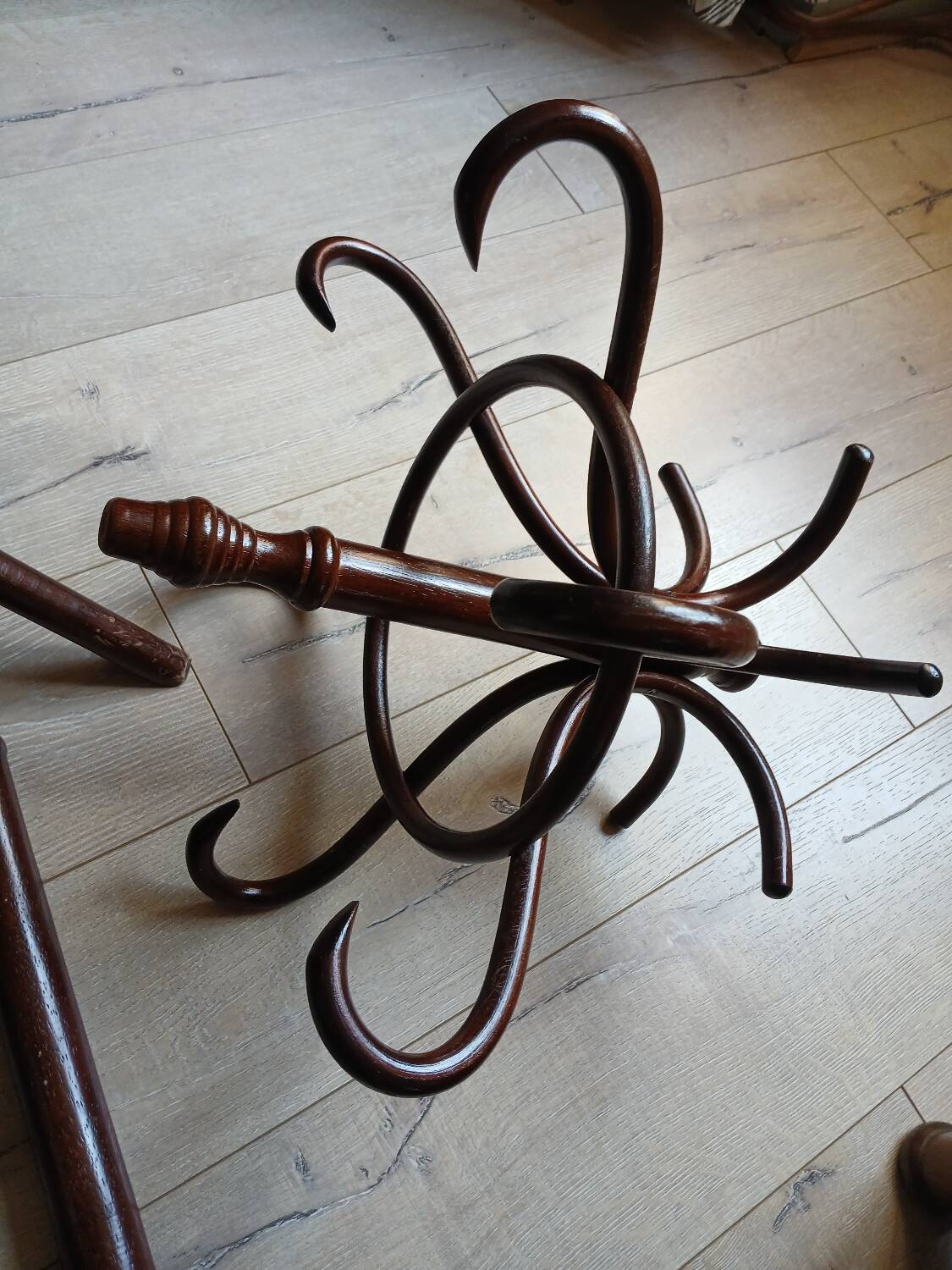 Porte manteau perroquet