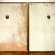 Set of two reproductions of Redouté framed in gilded wood.