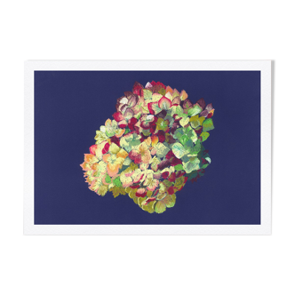 Still Life - Hortensia - Flower