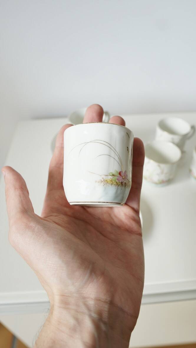 Set of 6 Limoges porcelain cups Barny Rigoni & Langle - 19th century